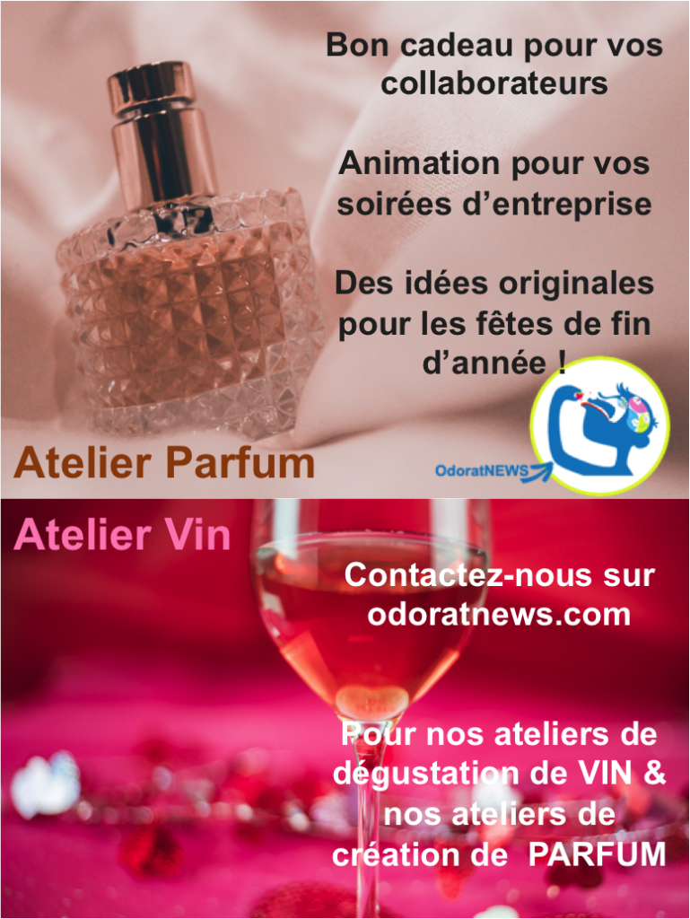Vin - Parfum - OdoratNEWS®