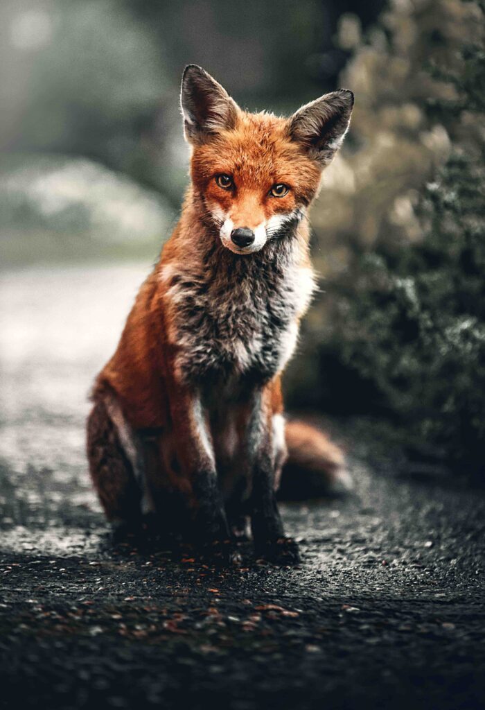 alexander-andrews-unsplash