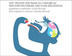 Oliv' déguste une fraise