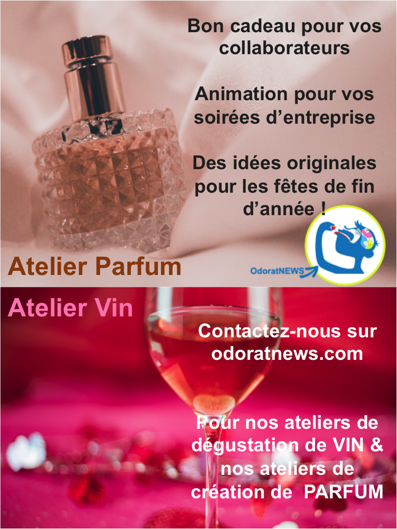 Vin - Parfum - OdoratNEWS®